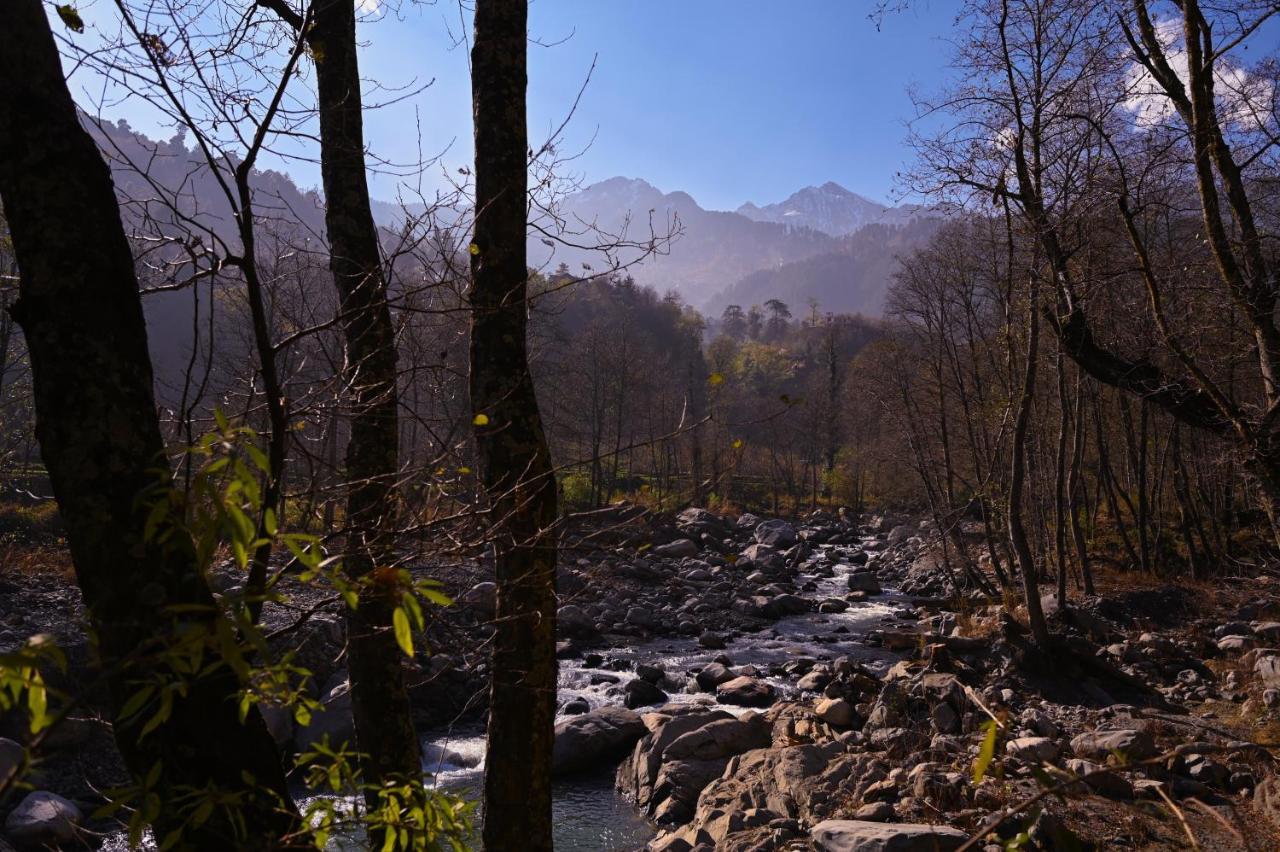 Hostel Zostel Dobhi, Manali Nagar  Exteriér fotografie