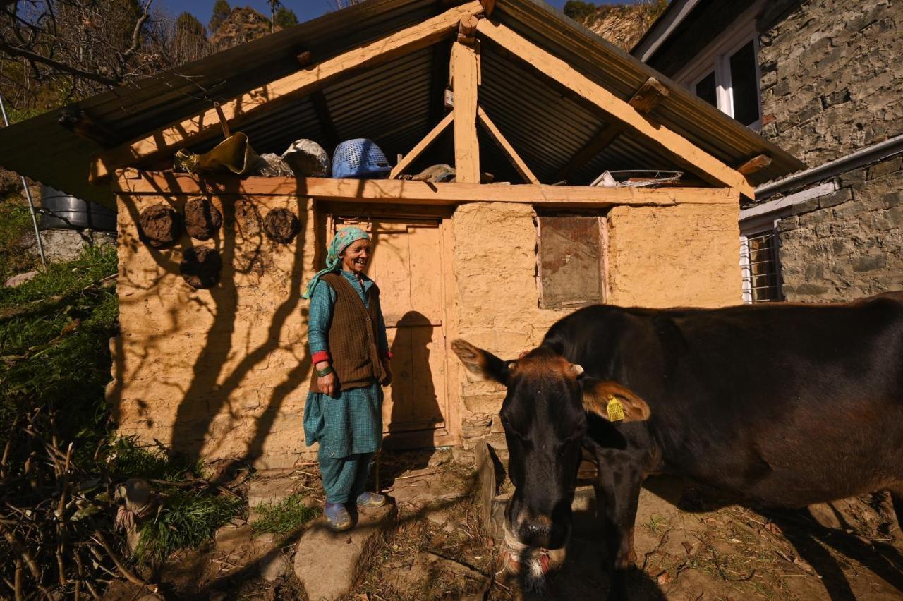 Hostel Zostel Dobhi, Manali Nagar  Exteriér fotografie