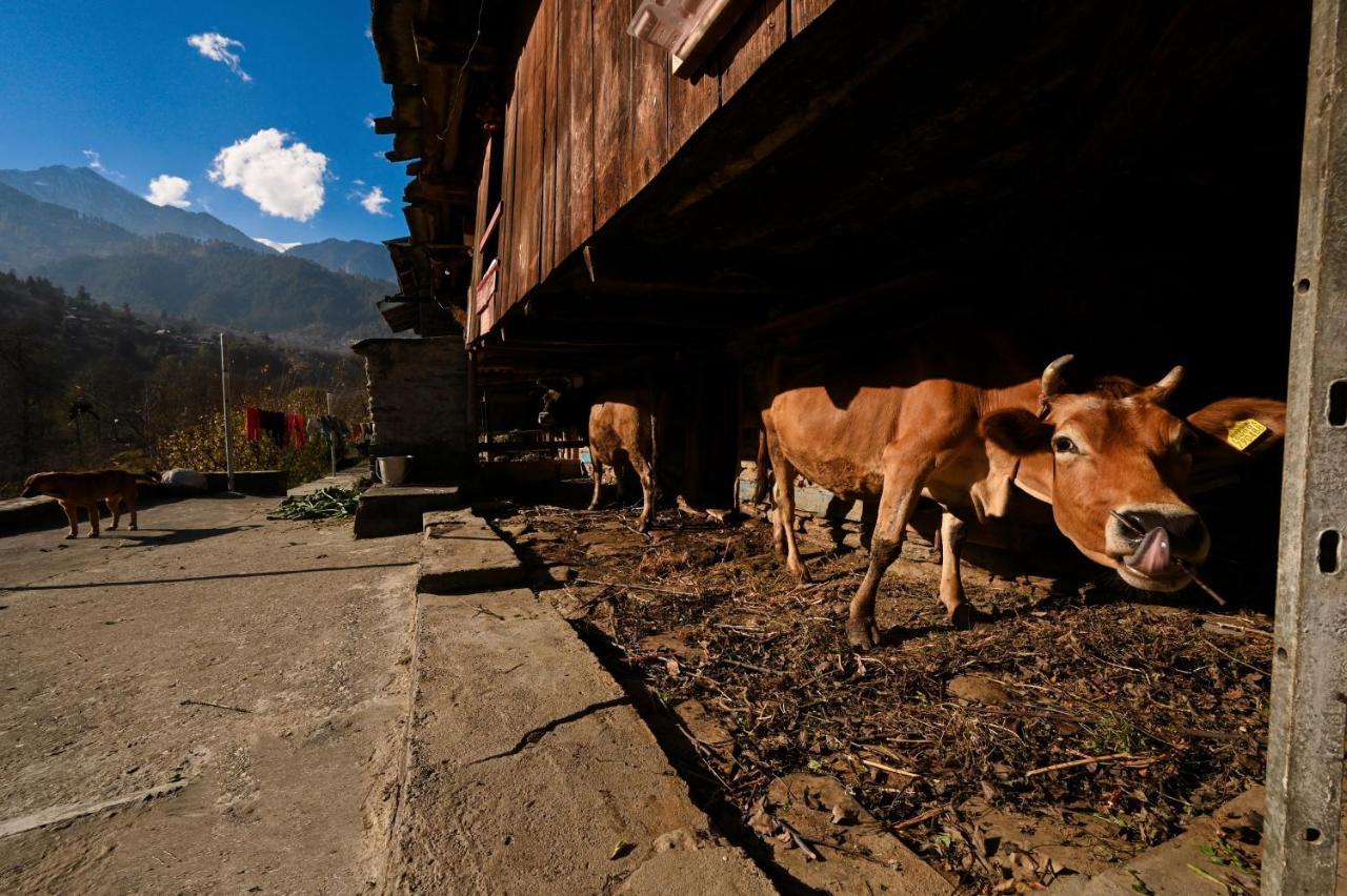 Hostel Zostel Dobhi, Manali Nagar  Exteriér fotografie