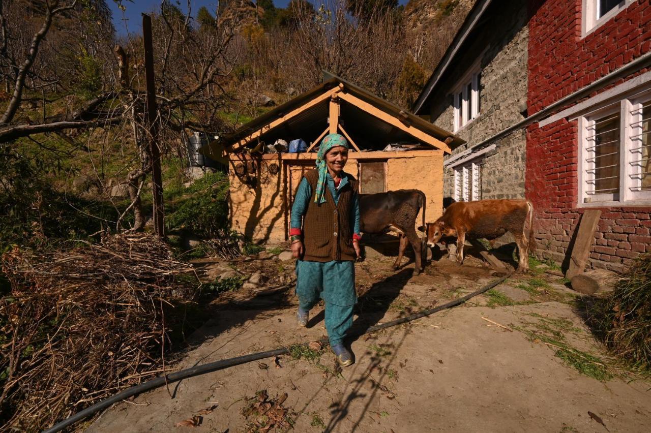 Hostel Zostel Dobhi, Manali Nagar  Exteriér fotografie