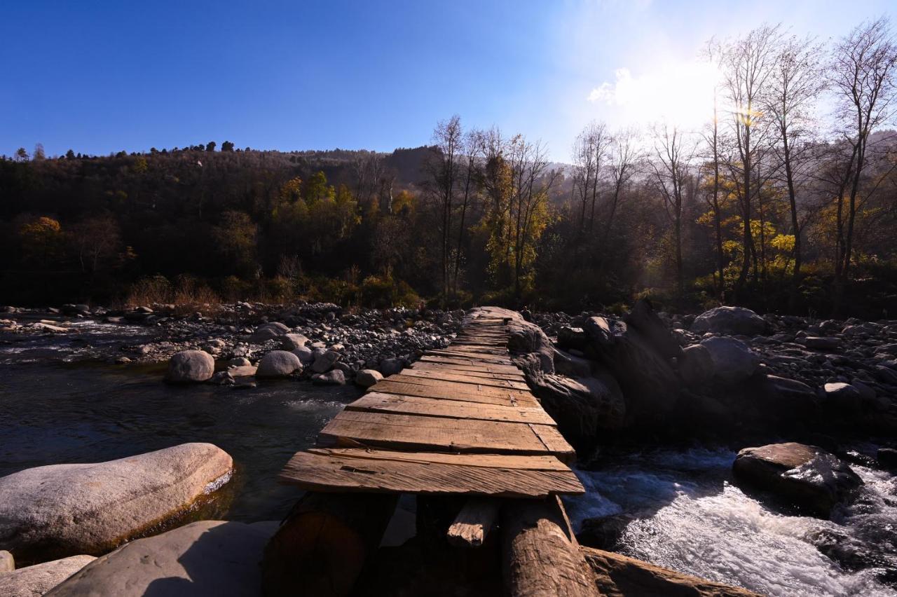 Hostel Zostel Dobhi, Manali Nagar  Exteriér fotografie