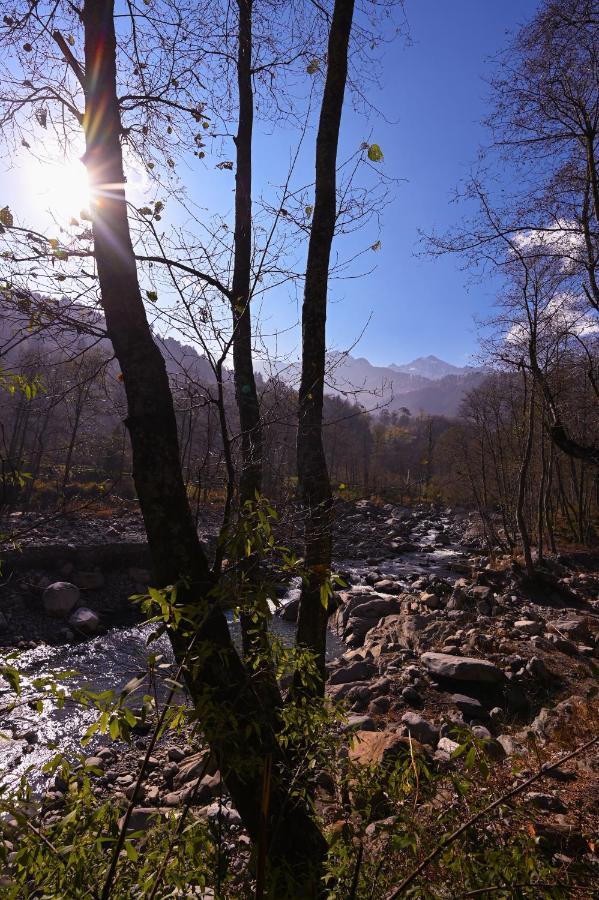 Hostel Zostel Dobhi, Manali Nagar  Exteriér fotografie