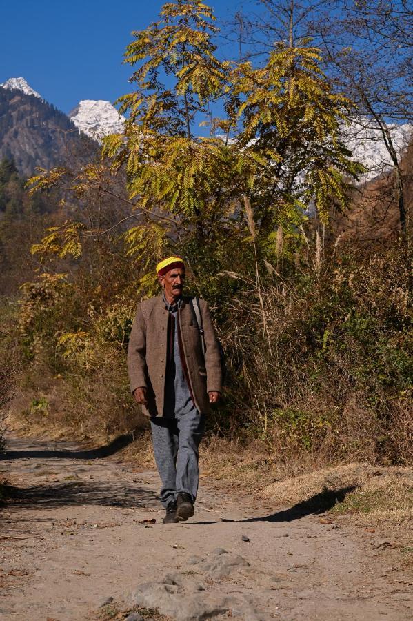 Hostel Zostel Dobhi, Manali Nagar  Exteriér fotografie